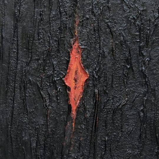 RY96960 VEIN