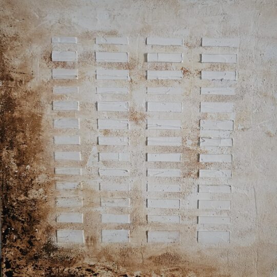 CY09558 SHADES OF SOIL