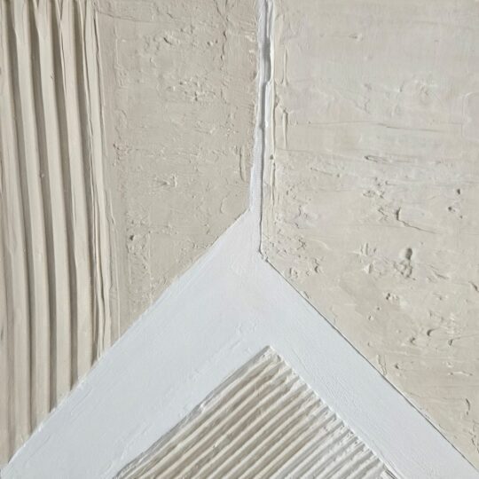 C9558 triangle lovers