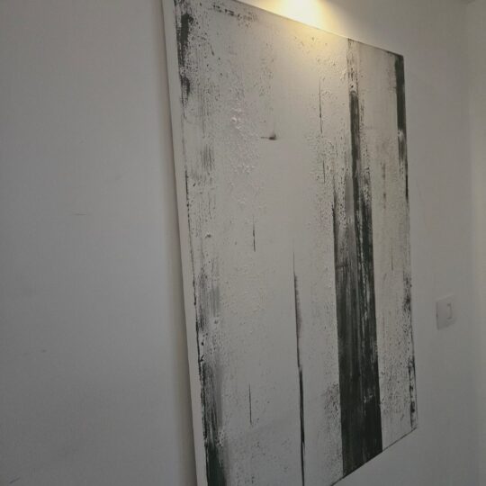 Original Ry8001.  shades of grey