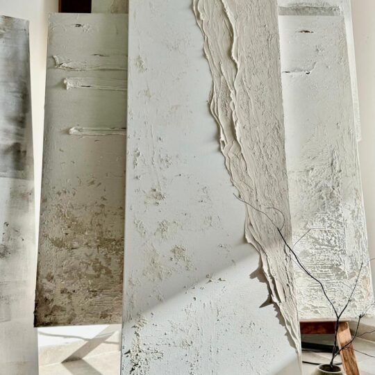 TEC007-  NO 07 יצירת אומנות לכיסוי  דלתות ארון חשמל/תקשורת